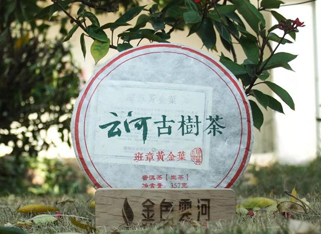 云河古树茶班章黄金叶普洱生茶