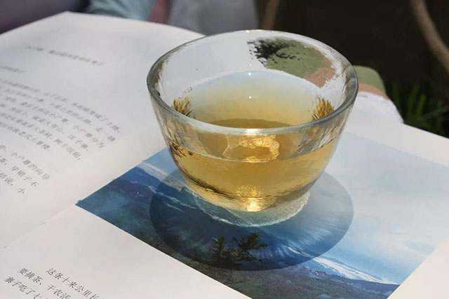 落水洞普洱茶茶汤
