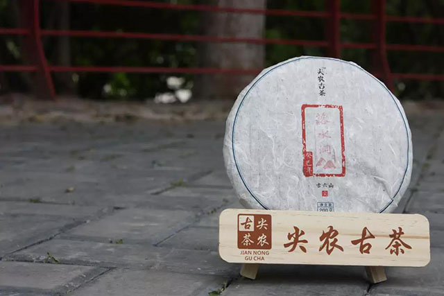 尖农古茶落水洞普洱茶