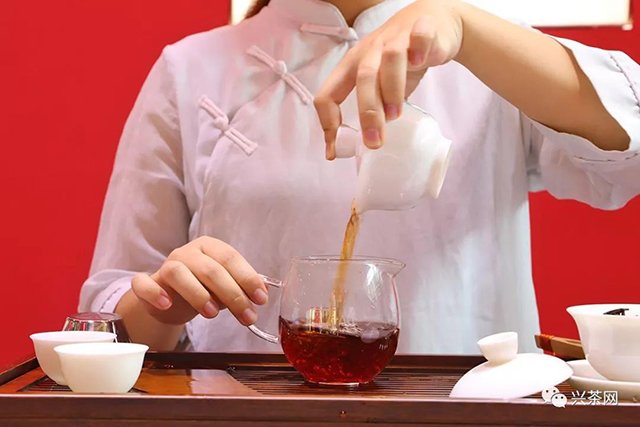 宫明普洱茶