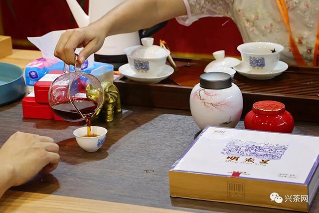 宫明普洱茶