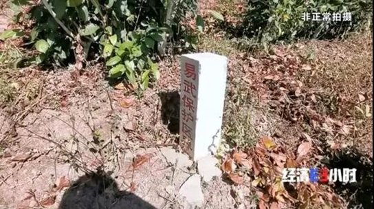 “易武保护区界”的界桩