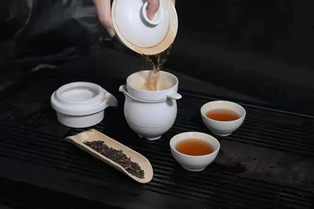 普洱茶冲泡