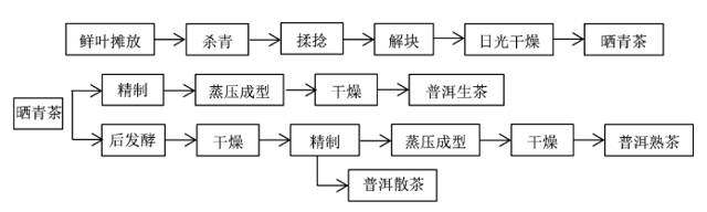 图1-普洱茶基本加工工艺