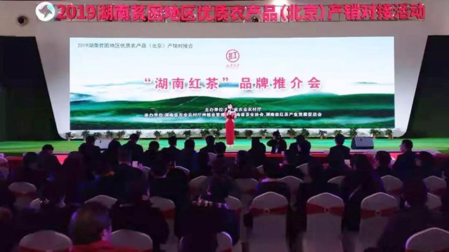 湖南红茶品牌推介会