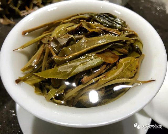 2019年天韵古茶冰岛龙珠