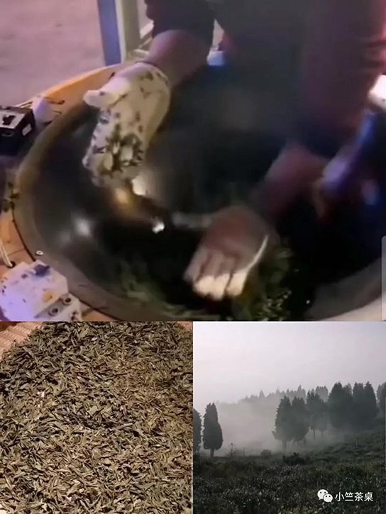 宝洪茶 殷小竺:“神秘”宝洪茶
