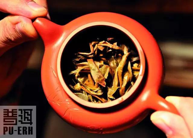 紫砂壶泡茶