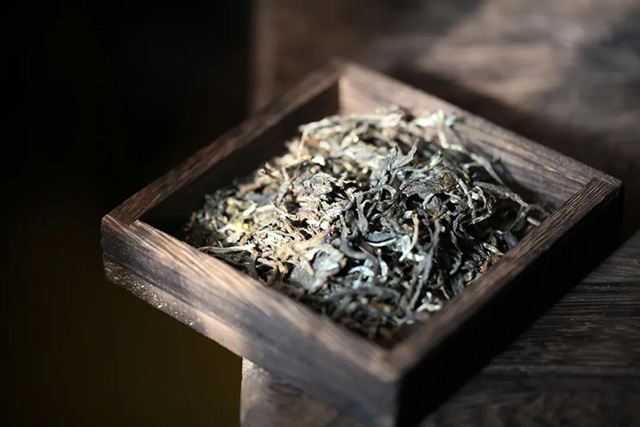 一恋普洱茶生茶