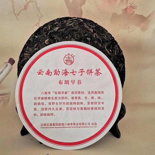 2019�˽�ͤ�����紺