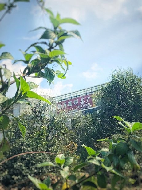 勐库瑞祥茶厂