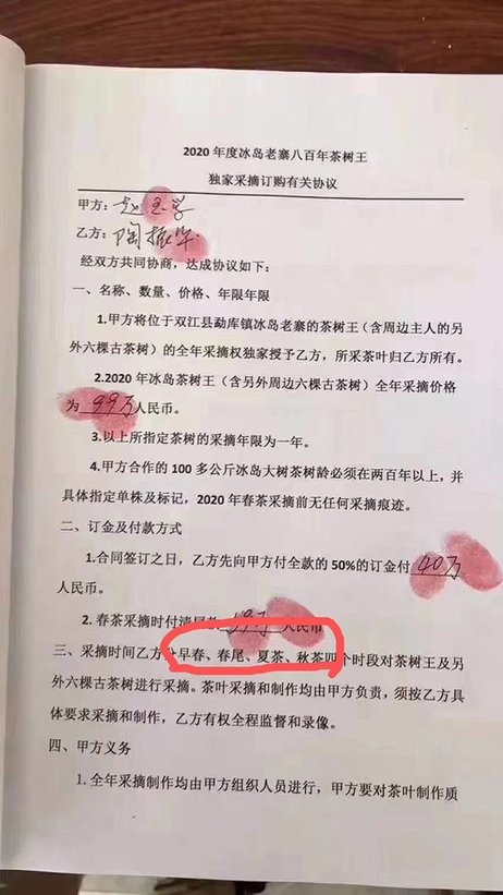 冰岛茶王树合同