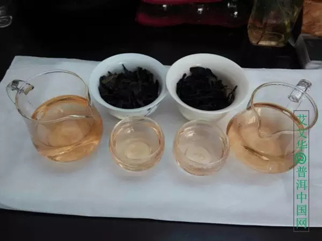 紫娟茶 茶者,为何紫者居上?