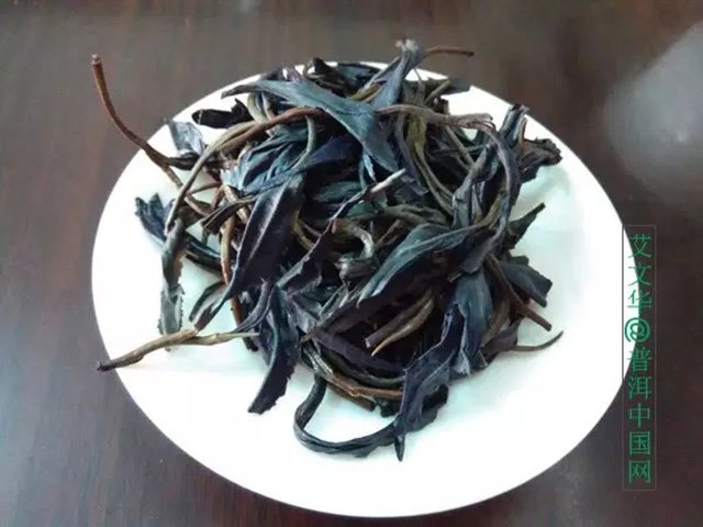 紫娟茶 茶者,为何紫者居上?