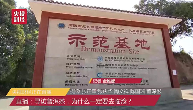 勐库戎氏极少树头采