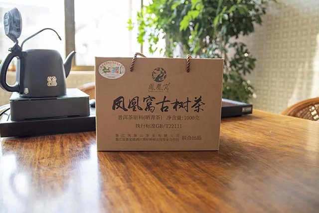 凤凰窝古树茶普洱茶