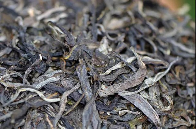 凤凰窝古树茶普洱茶