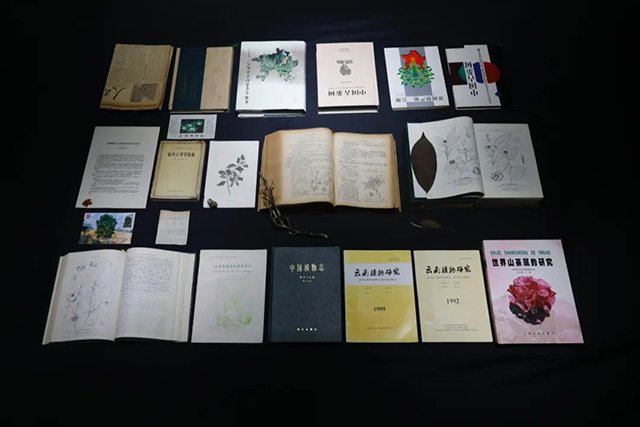 茶叶战争