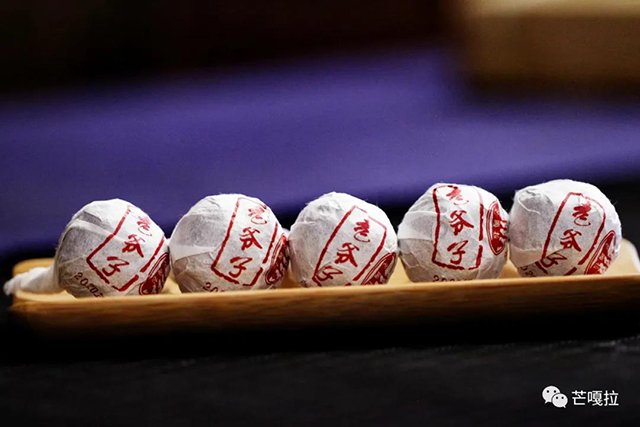 芒嘎拉古树黄金叶老爷子古树黄片
