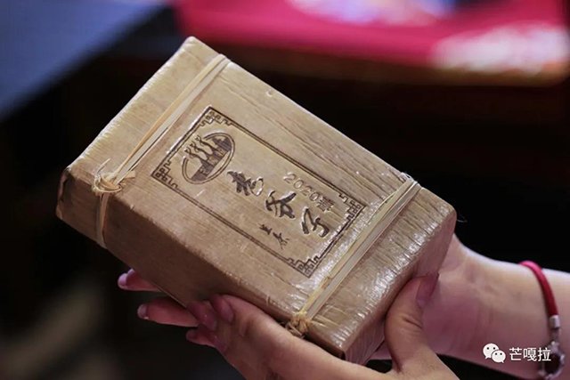 芒嘎拉古树黄金叶老爷子古树黄片