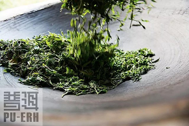 云南茶 普洱杂志:云南为什么出好茶?