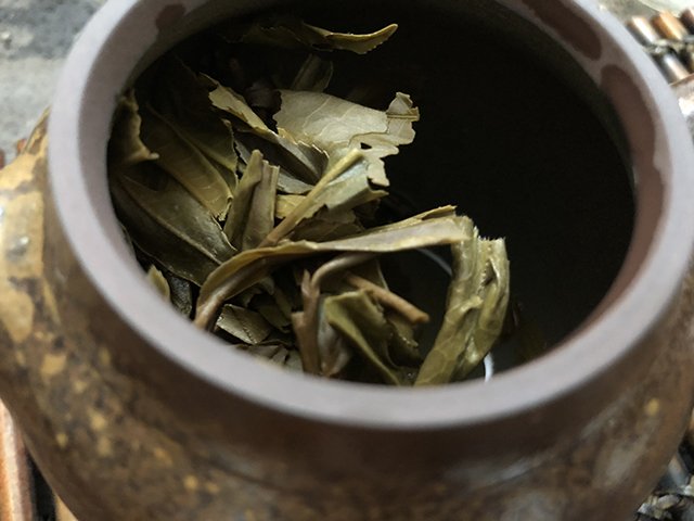 你喝过最老的冰岛茶是哪一年的?龑王牌蓝版2021冰岛9年陈冰岛老茶