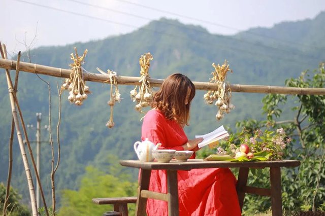 蓝版普洱茶旮旯村古树生茶