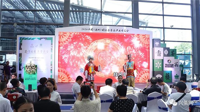 炜业单丛品鉴会