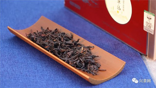 炜业单丛品鉴会