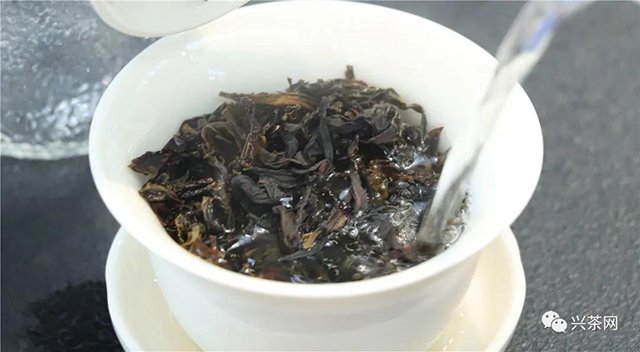 炜业单丛品鉴会