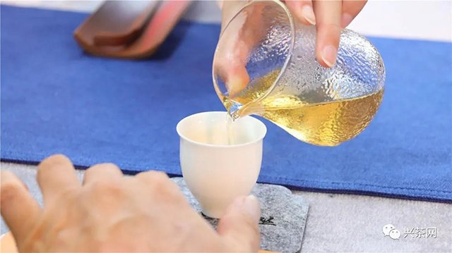 炜业单丛品鉴会