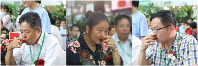 炜业单丛品鉴会