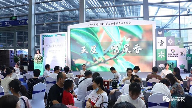 炜业单丛品鉴会