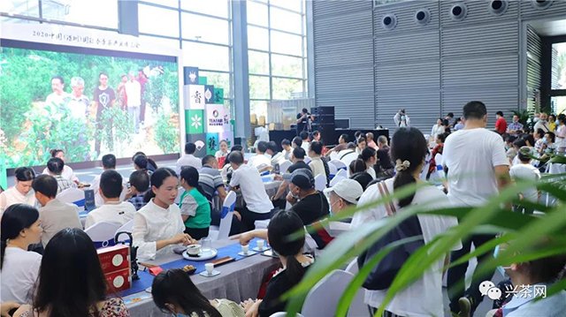 炜业单丛品鉴会