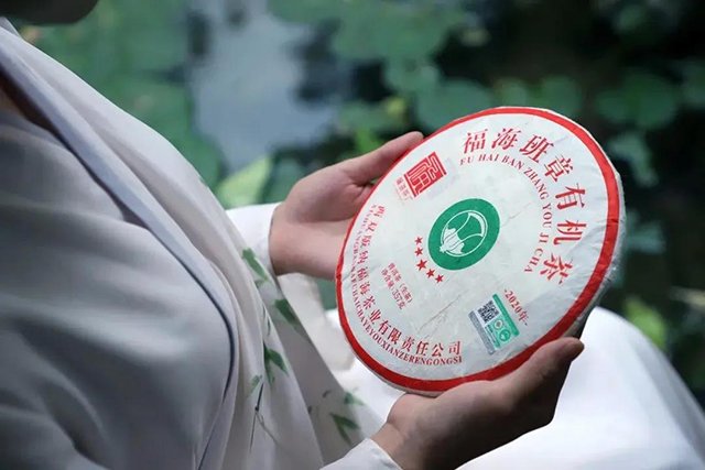 福海茶厂班章有机茶城市品鉴会