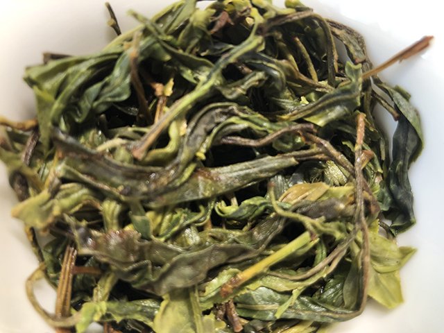 第二次试品勐麻河单株的叶底