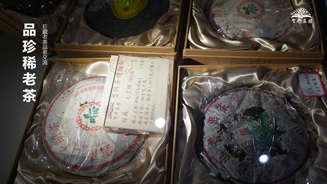 六大茶山品牌新闻