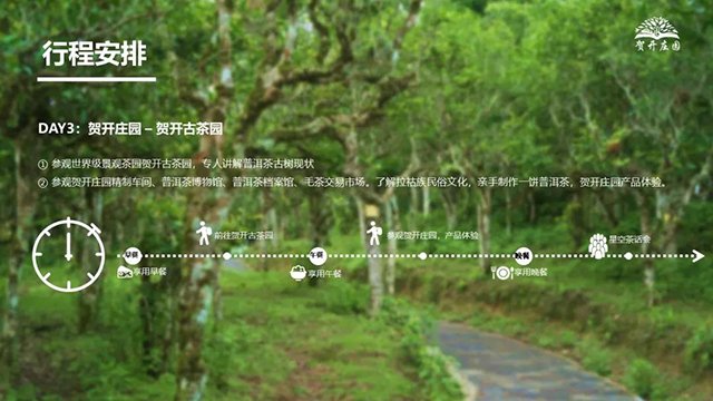 六大茶山