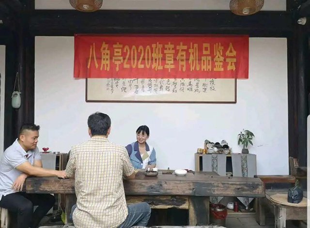 八角亭班章有机茶全国品鉴会