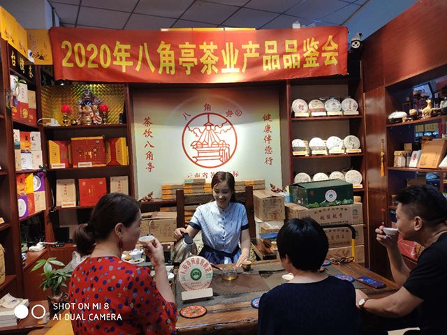八角亭班章有机茶全国品鉴会