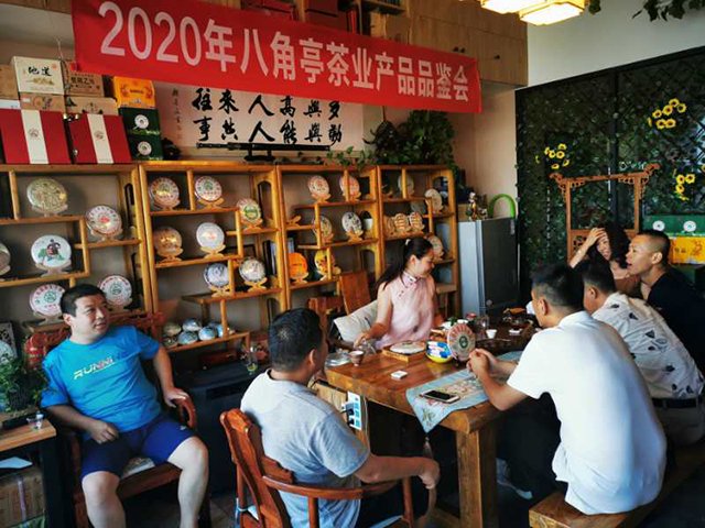 八角亭班章有机茶全国品鉴会