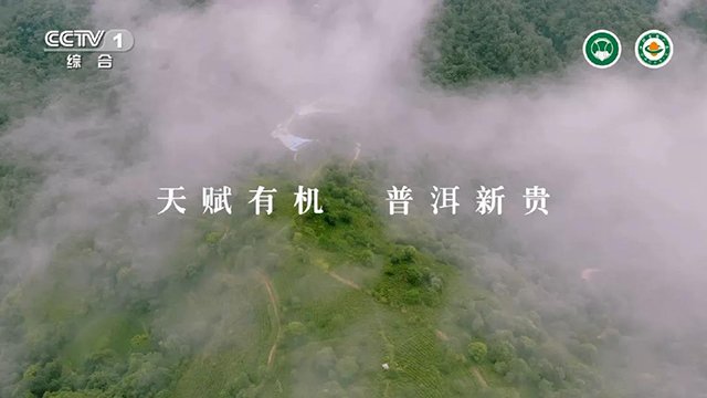 福海茶厂
