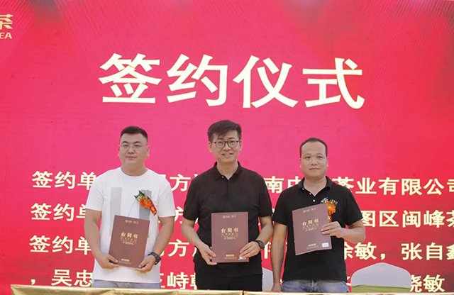 中茶翡翠八八青饼