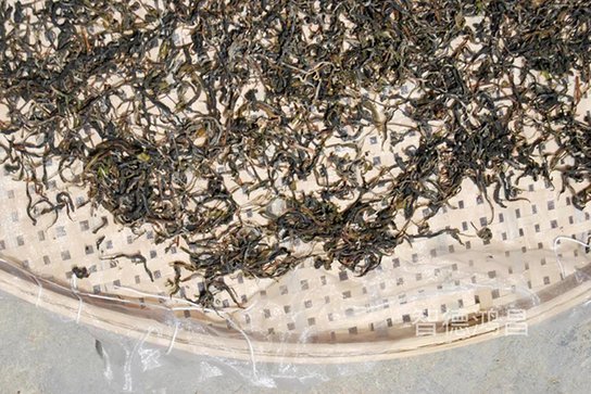 2020年智德鸿昌首批曼岗石生有机茶