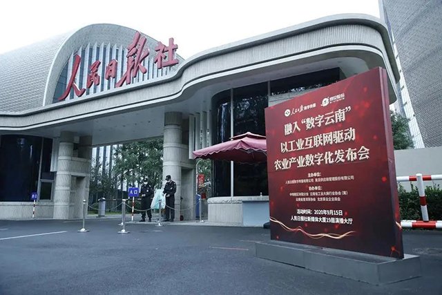 八角亭茶业