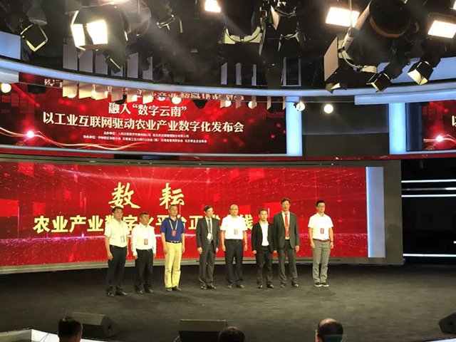 八角亭茶业