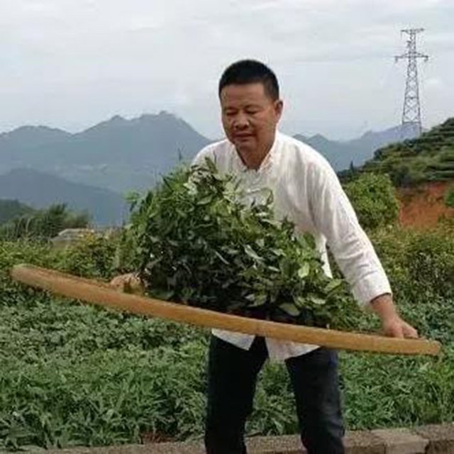 魏月德 疫情后首次茶游学,五位大咖教你学茶!