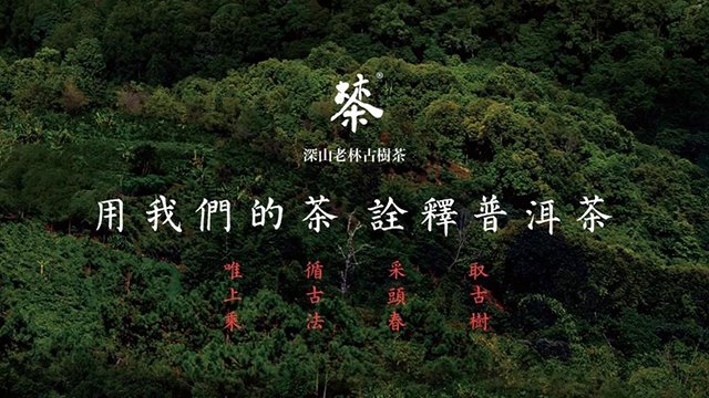 茶叶品牌庄海见林