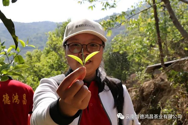 智德鸿昌