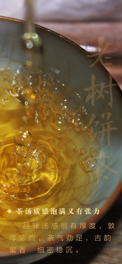 八角亭大成小隐布朗山早春老树饼茶